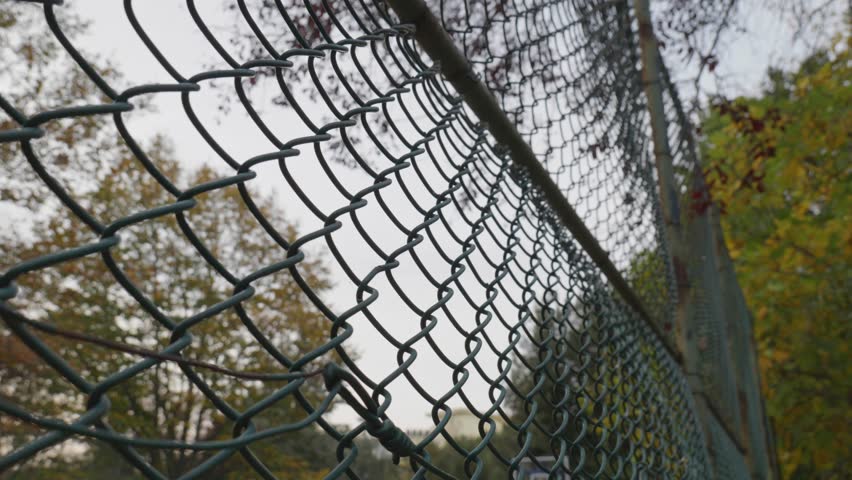 Autumn Tree with Leaves Above Outdoor Basketball Court Chain-Link Fence