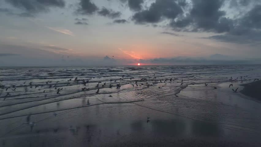 Aerial view of the sun rising over the sea, casting a warm glow on the waves, birds flying over the water, Gilan, iran.