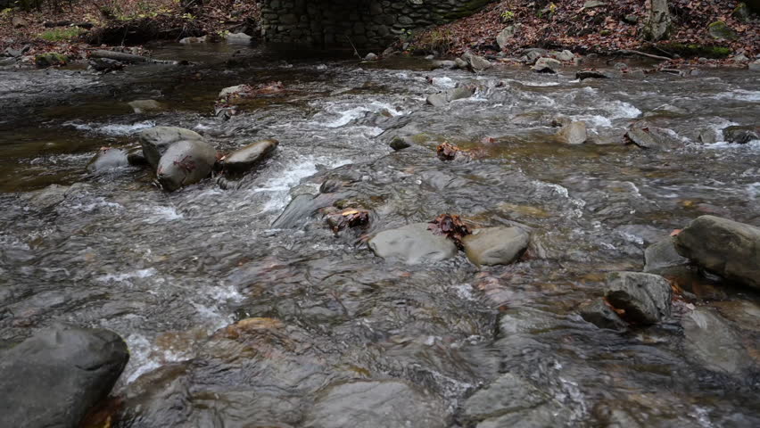 Running water in a creek in the Great Smoky Mountains of North Carolina.