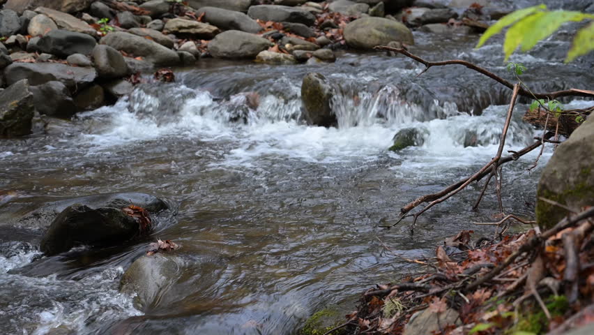 Water flowing in a creek in the Great Smoky Mountains of North Carolina.