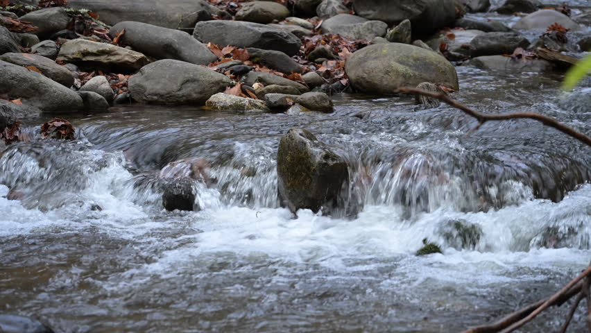 Water flowing in a creek in the Great Smoky Mountains of North Carolina.