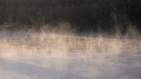 High quality video showing a concrete tower rising from the calm misty lake of the Wehebachtalsperre at sunrise with soft light, drifting fog and a quiet forest backdrop. - Powered by Shutterstock - Get 15% off with code: PIKWIZARD15