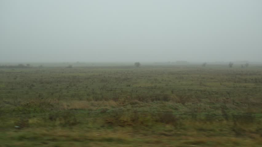 Side view from a moving car passing through misty rural countryside, soft fog covering fields and trees.