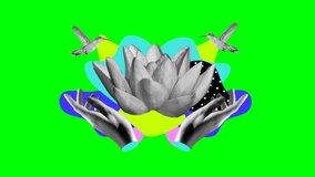 Animated Maximalist Blooming Lotus Flower in Hands on Green Screen Video - Powered by Shutterstock - Get 15% off with code: PIKWIZARD15