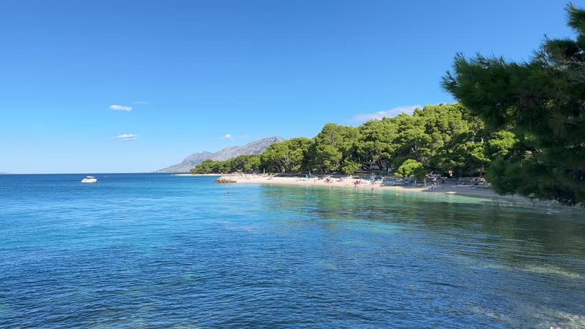 Idyllic Summer Landscape of the Croatian Coast Featuring a White Pebble Beach Shaded by Lush Green Pine Trees and Crystal Clear Turquoise Adriatic Sea