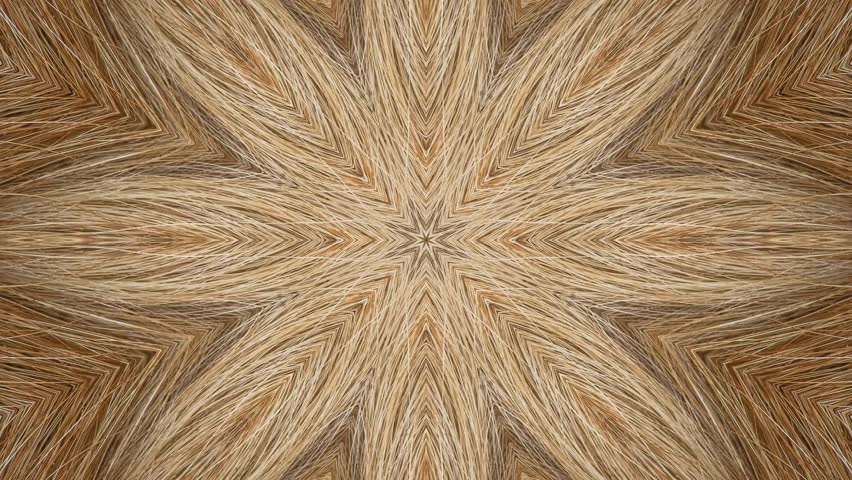 Abstract Brown Natural Fiber Kaleidoscope Pattern Background