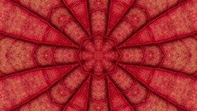 Red Organic Kaleidoscope Pattern with Symmetrical Texture - Powered by Shutterstock - Get 15% off with code: PIKWIZARD15
