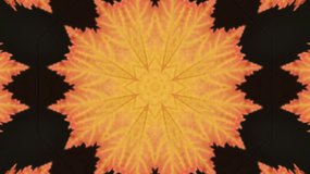 Orange Leaf Kaleidoscope Star Pattern Abstract Background - Powered by Shutterstock - Get 15% off with code: PIKWIZARD15
