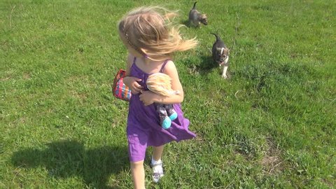 Child Walking, Running and Playing with Dogs, Children Love Puppies, Pets