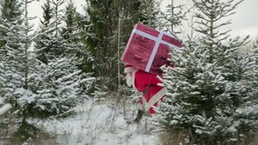 Santa Claus carries huge gift box walking in winter forest with Christmas trees. - Powered by Shutterstock - Get 15% off with code: PIKWIZARD15
