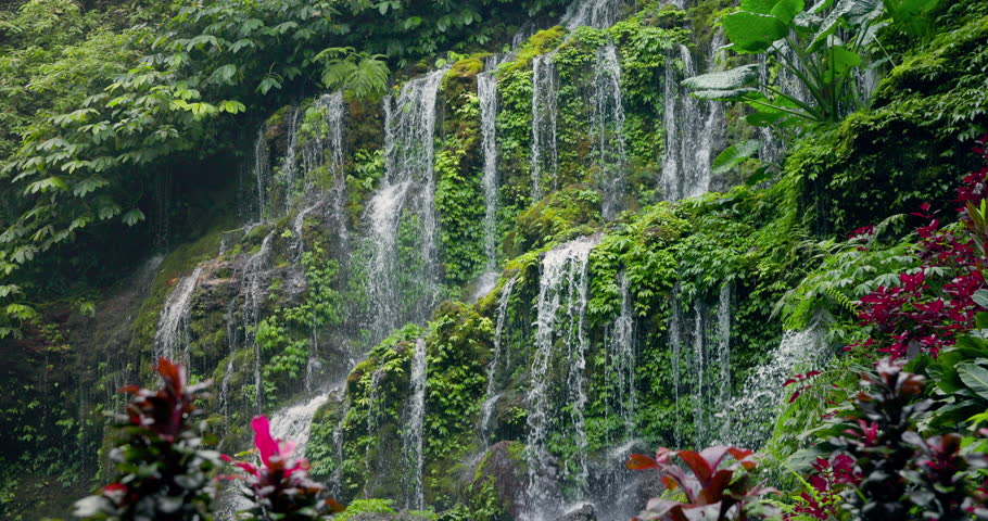 Tropical waterfall cascading over mossy rocks surrounded by vibrant jungle foliage in Bali