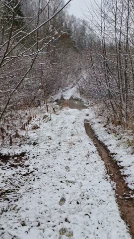A winter walk through a forest landscape with a narrow path covered in fresh snow leading to a small frozen stream surrounded by snow-covered trees and bushes.
