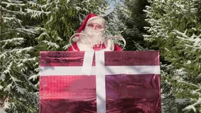 Cheerful portrait of Santa Claus with big gift box walking in winter forest with Christmas trees smiling at camera. - Powered by Shutterstock - Get 15% off with code: PIKWIZARD15