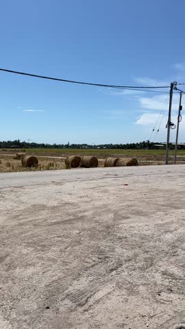 the view of paddy field and straw bales 