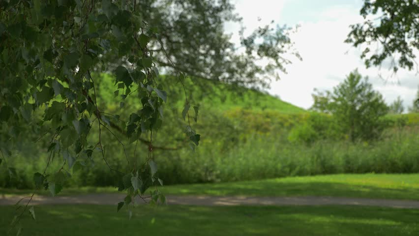 Man and woman jogging together on park trail with blurred green background