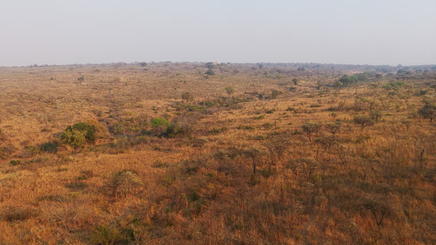 A breathtaking aerial sweep of Kruger National Park’s vast golden savanna, stretching endlessly under the morning light.
