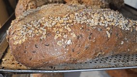 A freshly baked, oblong loaf of whole wheat bread, generously topped with grains and seeds, sits on a perforated baking tray. - Powered by Shutterstock - Get 15% off with code: PIKWIZARD15