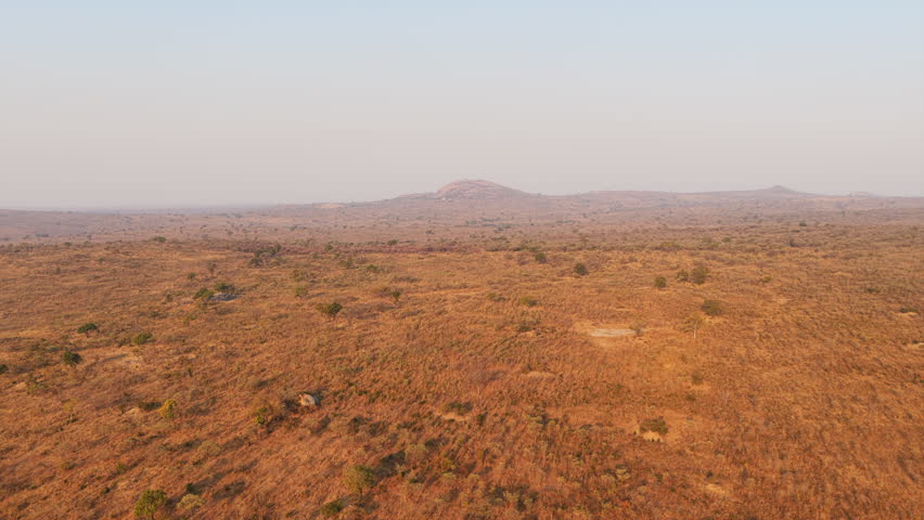 An expansive view of Kruger National Park’s dry savanna stretches to the horizon, with distant hills under a soft morning sky.