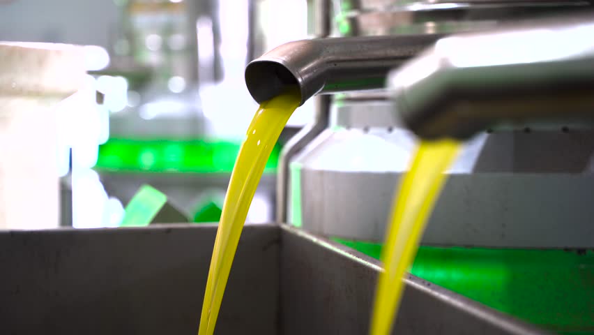 Machinery processing fresh olive oil in factory