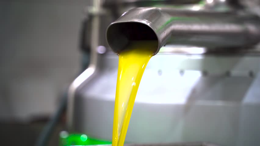 Machinery processing fresh olive oil in factory