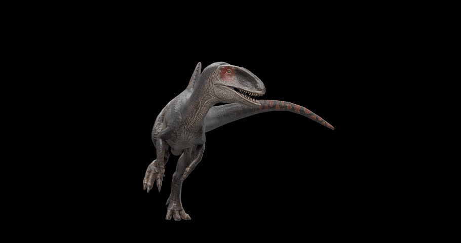 A 3D Dimetrodon rotating in a smooth 360 degree 4K alpha channel loop, ideal for educational content, prehistoric themes, documentaries, and motion graphics.