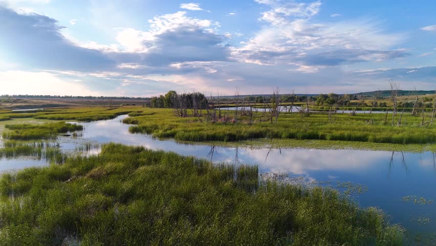 clouds reflected in a reed-covered lake at sunset, view from a drone