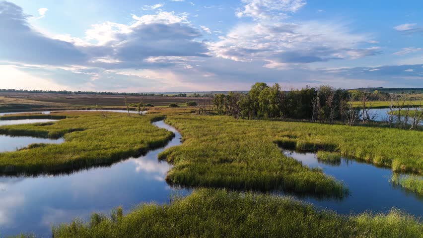 clouds reflected in a reed-covered lake at sunset, view from a drone