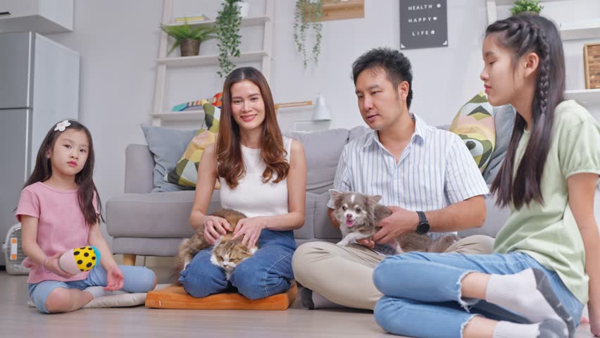 Asian family sit together on floor with their pets in living room at home. Adorable children and parents spend time playing with Chihuahua puppy and fluffy Persian cat, creating loving family moment.