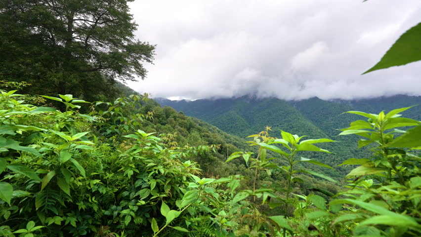 Great Smoky Mountains in summer rainy season. Mountain wooded hills in Tennessee Appalachians, USA.