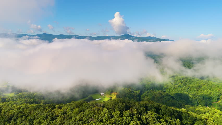 Nature landscape of Tennessee Appalachian mountains. Mountain forest with green canopies in summer rain season.