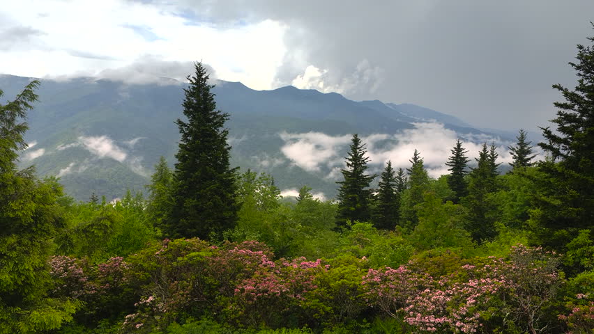 Nature landscape of Tennessee Appalachian mountains. Mountain forest with green canopies in summer rain season.