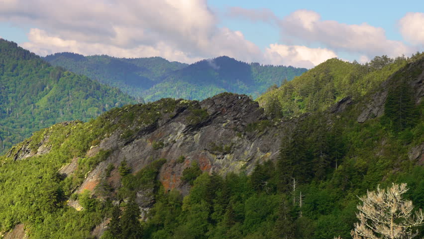 Nature landscape of Tennessee Appalachian mountains. Mountain forest with green canopies in summer season.