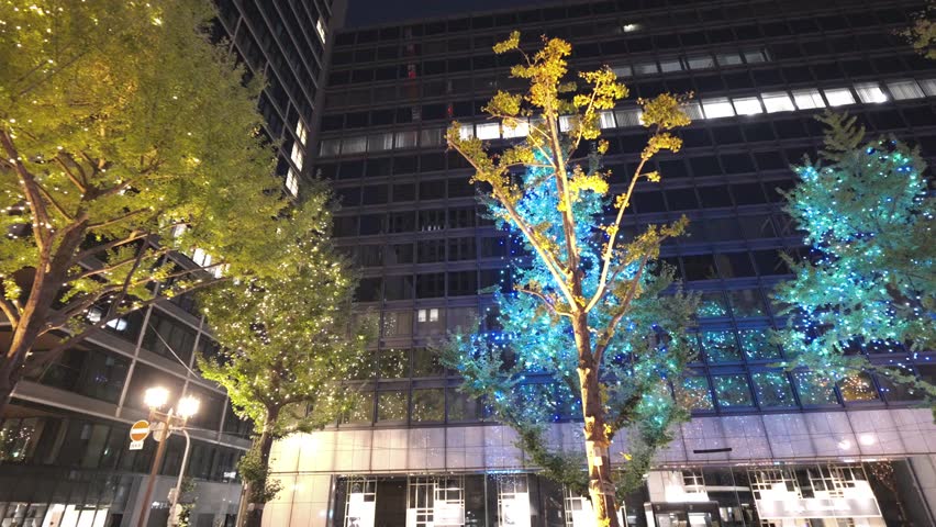 Christmas illuminations on Midosuji in Osaka