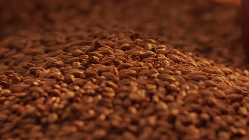 Barley grains falling from a hand onto a burlap sack in warm, cinematic light. - Powered by Shutterstock - Get 15% off with code: PIKWIZARD15
