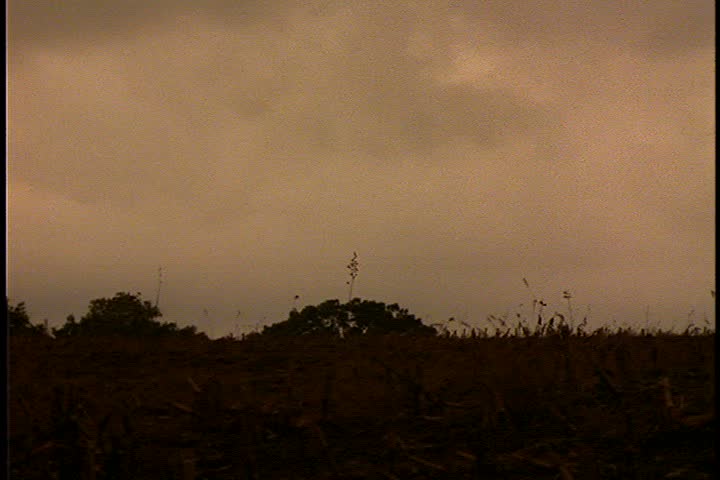 Slavery reenactment in Carlise, Massachusetts. WS open field at dusk. Slave workers with horse and wagon cross field in silhouette from left to right. 