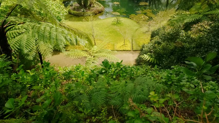 Parque Terra Nostra in São Miguel, Azores, Portugal, showcasing lush gardens, vibrant greenery, and serene pathways in a volcanic island setting.