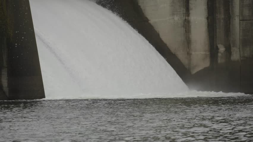 Salmon Jumping Upstream Against the Nimbus Dam Spillway