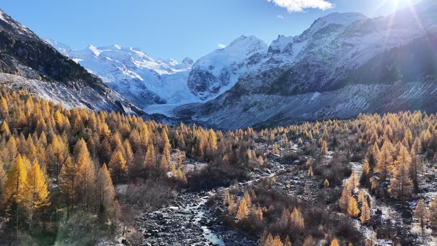 Golden larches line a rocky valley beneath Morteratsch Glacier and snowy Bernina peaks