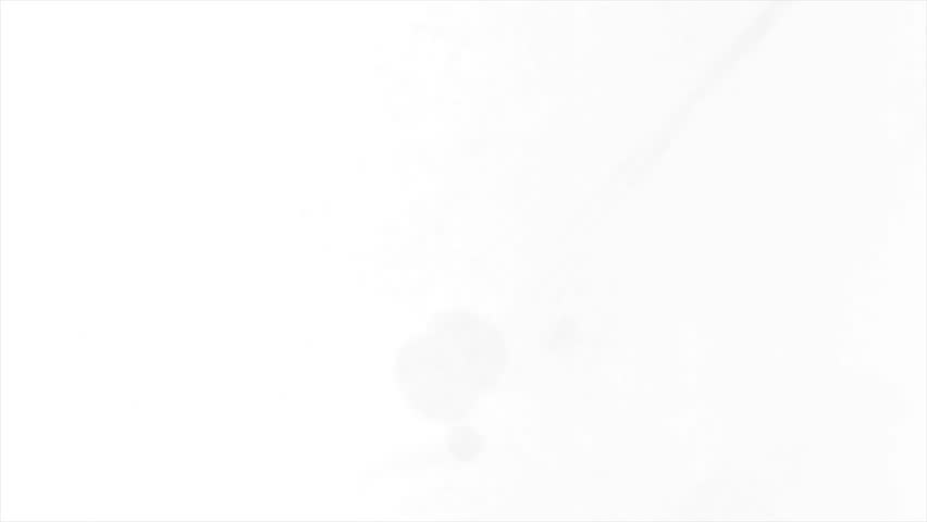 Ink Bloom on White Ink Bleed Bloom 20