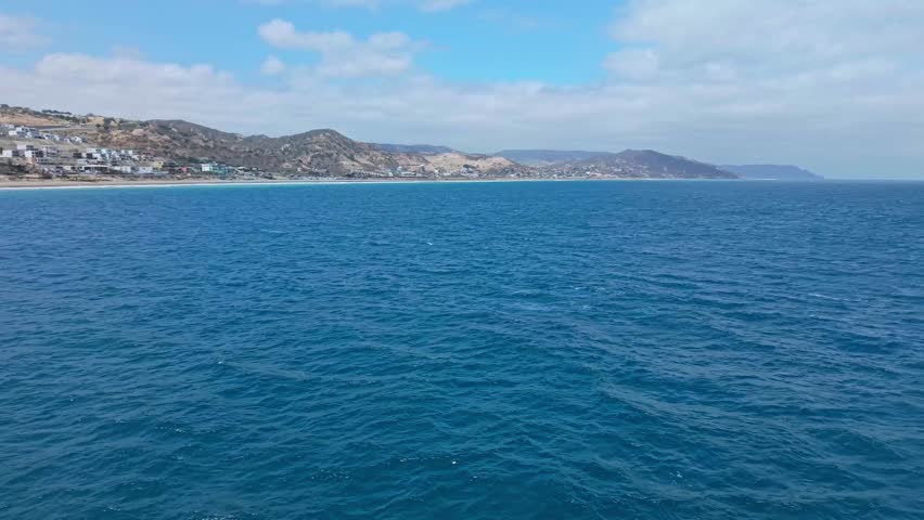 Baby humpback whale breaching near the shore of Santa Marianita, Ecuador