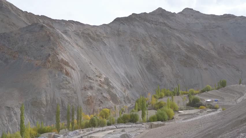 Scenic view of mountains and valley with trees in Leh Ladakh region of India
