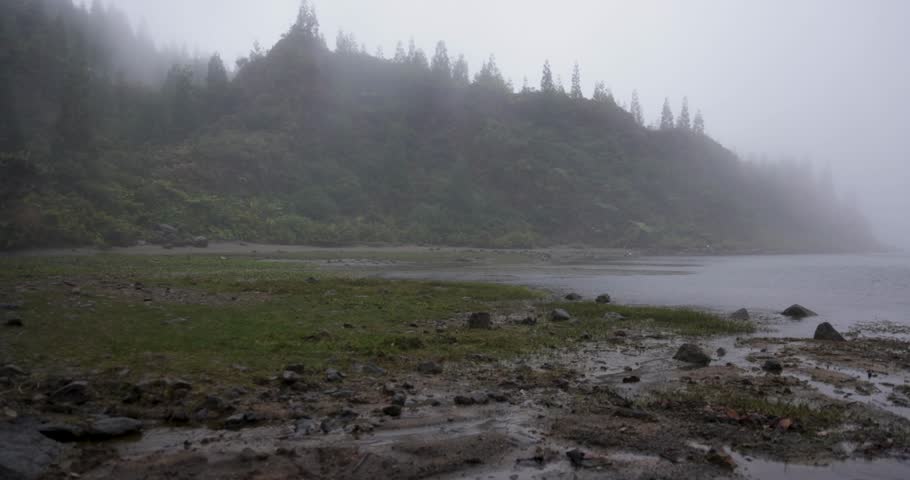 A foggy forest with a lake in the background. The lake is surrounded by rocks and the trees are tall and dense