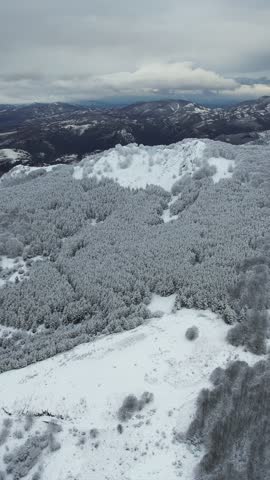 Breathtaking winter landscape showcasing a vast snowy forest with rolling hills and majestic mountain peaks in the distance, vertical video