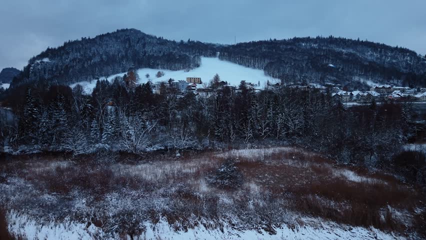Aerial view of the serene Lake Brenet surrounded by snow dusted trees and hills creating a stark contrast against the still waters, Lake Brenet, Vaud, Switzerland.