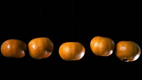 Five tangerines hanging on nearly invisible strings and slowly rotating against a black background. Minimalist food motion, citrus freshness, creative spinning fruit concept for backgrounds and design - Powered by Shutterstock - Get 15% off with code: PIKWIZARD15