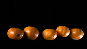 Five fresh tangerines slowly spinning on barely visible strings against a black background. Minimalist citrus motion, clean rotating fruit concept for creative design, ads, and food footage. - Powered by Shutterstock - Get 15% off with code: PIKWIZARD15