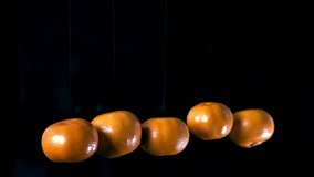 Five mandarins hanging on nearly invisible strings and slowly rotating against a black background. Minimalist food motion, citrus freshness, creative spinning fruit concept for backgrounds and design. - Powered by Shutterstock - Get 15% off with code: PIKWIZARD15
