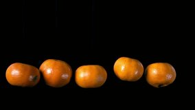 Five fresh mandarins slowly spinning on barely visible strings against a black background. Minimalist citrus motion, clean rotating fruit concept for creative design, ads, and food footage. - Powered by Shutterstock - Get 15% off with code: PIKWIZARD15