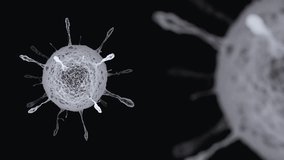  A highly detailed 3D 4K animation of a virus particle, showcasing its structure and movement for scientific, medical, and educational use. - Powered by Shutterstock - Get 15% off with code: PIKWIZARD15