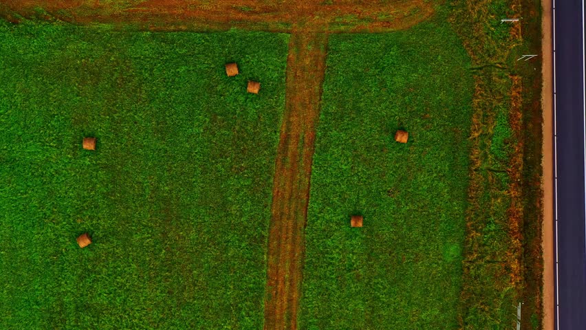 Aerial view of round hay bales scattered across green field with central tractor path